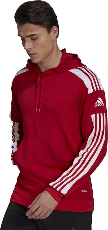 Meeste dressipluus Adidas Squadra 21 punane GP6435 XL цена и информация | Jalgpalli varustus ja riided | kaup24.ee