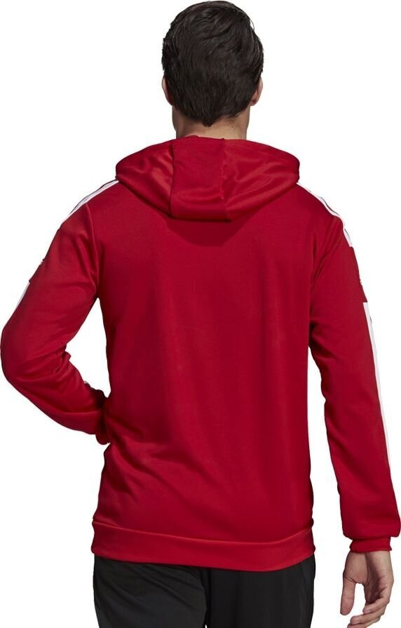 Meeste dressipluus Adidas Squadra 21 punane GP6435 XL цена и информация | Jalgpalli varustus ja riided | kaup24.ee