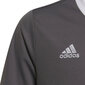 Laste T-särk Adidas Entrada 22 Jsy H57499, hall hind ja info | Jalgpalli varustus ja riided | kaup24.ee
