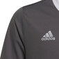 Laste T-särk Adidas Entrada 22 Jsy H57499, hall цена и информация | Jalgpalli varustus ja riided | kaup24.ee