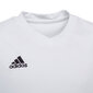 Laste T-särk Adidas Entrada 22 Jsy HC5054, valge цена и информация | Jalgpalli varustus ja riided | kaup24.ee