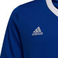 Laste T-särk Adidas Entrada 22 Jsy HG3948, sinine цена и информация | Jalgpalli varustus ja riided | kaup24.ee