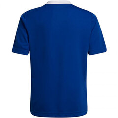 Детская футболка Adidas Entrada 22 Jsy HG3948, синий цена и информация | Футбольная форма и другие товары | kaup24.ee