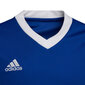Laste T-särk Adidas Entrada 22 Jsy HG3948, sinine hind ja info | Jalgpalli varustus ja riided | kaup24.ee