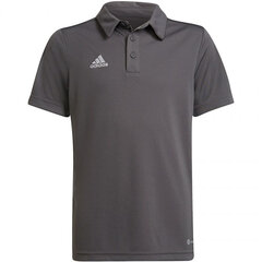 Детская футболка поло Adidas Entrada 22 H57485, серый цена и информация | Футбольная форма и другие товары | kaup24.ee