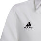 Polo laste T-särk Adidas Entrada 22 HC5059, valge hind ja info | Jalgpalli varustus ja riided | kaup24.ee