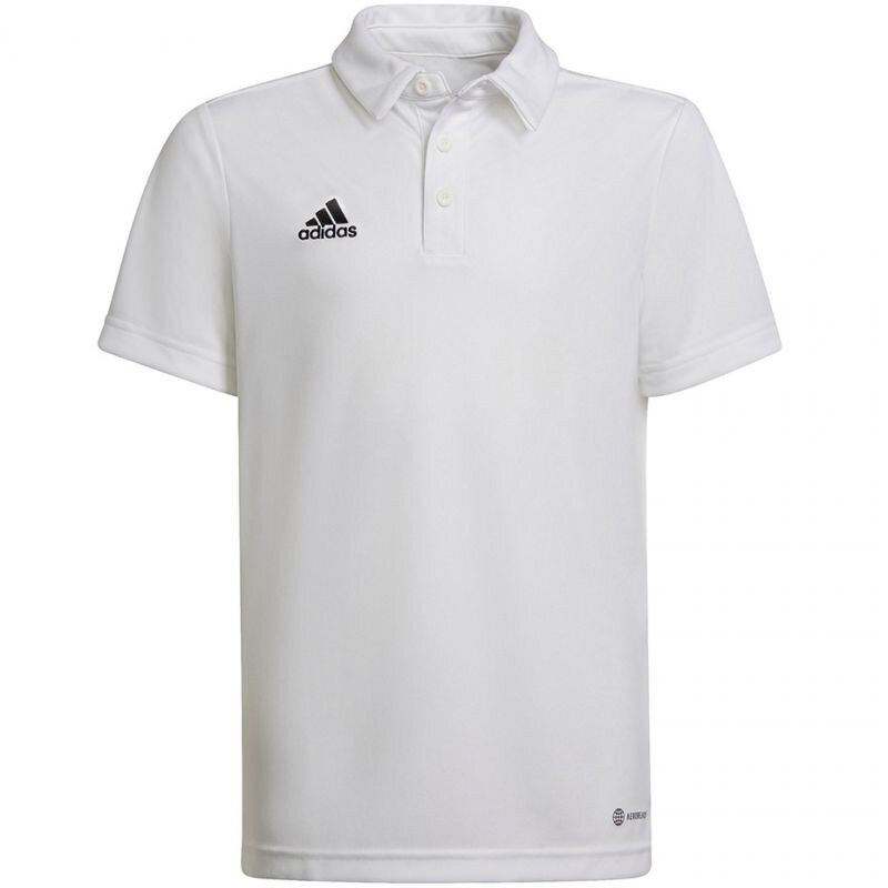 Polo laste T-särk Adidas Entrada 22 HC5059, valge цена и информация | Jalgpalli varustus ja riided | kaup24.ee