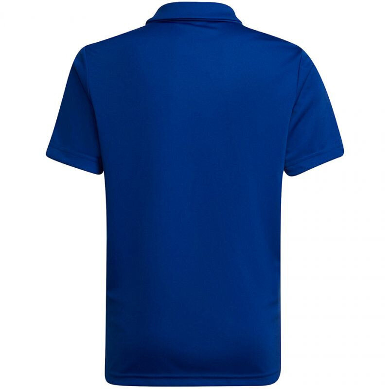 Polo laste T-särk Adidas Entrada 22 HG6289, sinine цена и информация | Jalgpalli varustus ja riided | kaup24.ee
