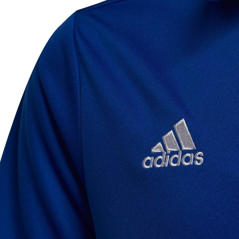Polo laste T-särk Adidas Entrada 22 HG6289, sinine hind ja info | Jalgpalli varustus ja riided | kaup24.ee