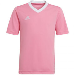 Laste T-särk Adidas Entrada 22 Jersey HC5055, roosa hind ja info | Jalgpalli varustus ja riided | kaup24.ee