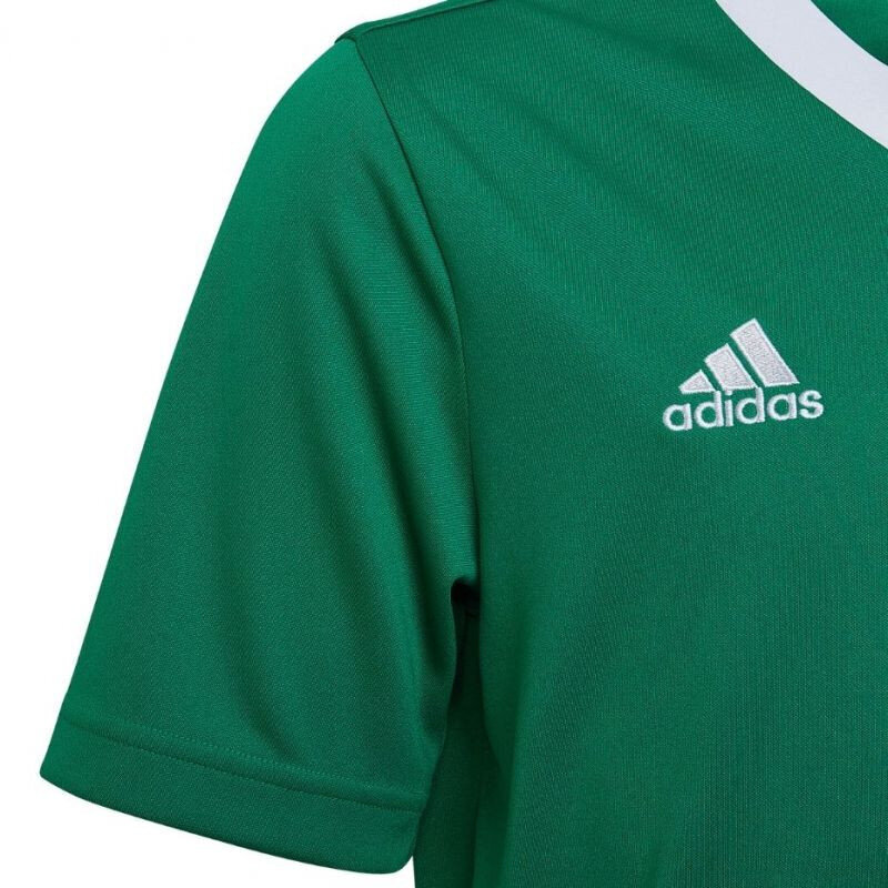 Laste T-särk Adidas Entrada 22 Jersey HI2126, roheline цена и информация | Jalgpalli varustus ja riided | kaup24.ee