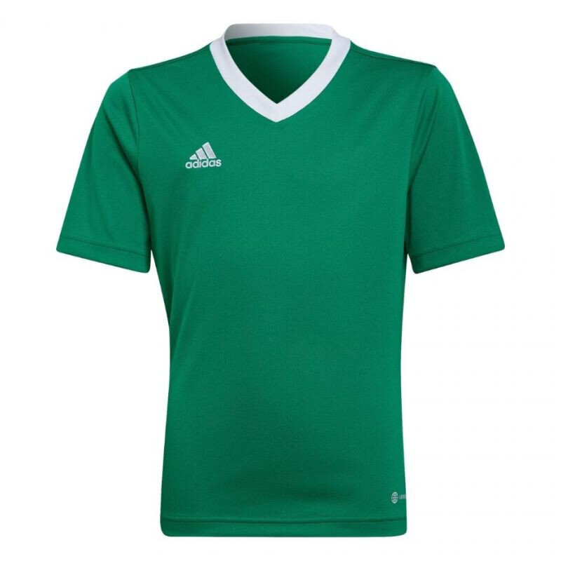 Laste T-särk Adidas Entrada 22 Jersey HI2126, roheline цена и информация | Jalgpalli varustus ja riided | kaup24.ee
