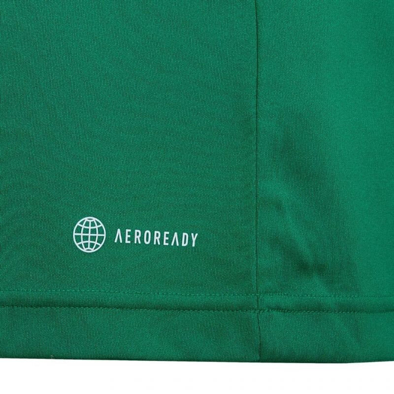 Laste T-särk Adidas Entrada 22 Jersey HI2126, roheline hind ja info | Jalgpalli varustus ja riided | kaup24.ee