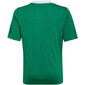 Laste T-särk Adidas Entrada 22 Jersey HI2126, roheline hind ja info | Jalgpalli varustus ja riided | kaup24.ee