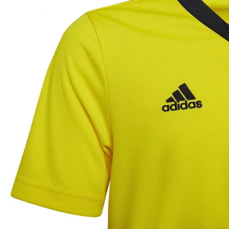 Laste T-särk Adidas Entrada 22 Jersey HI2127, kollane цена и информация | Jalgpalli varustus ja riided | kaup24.ee