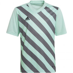 Laste T-särk Adidas Entrada 22 Graphic Jersey HF0127, piparmünt/hall hind ja info | Jalgpalli varustus ja riided | kaup24.ee