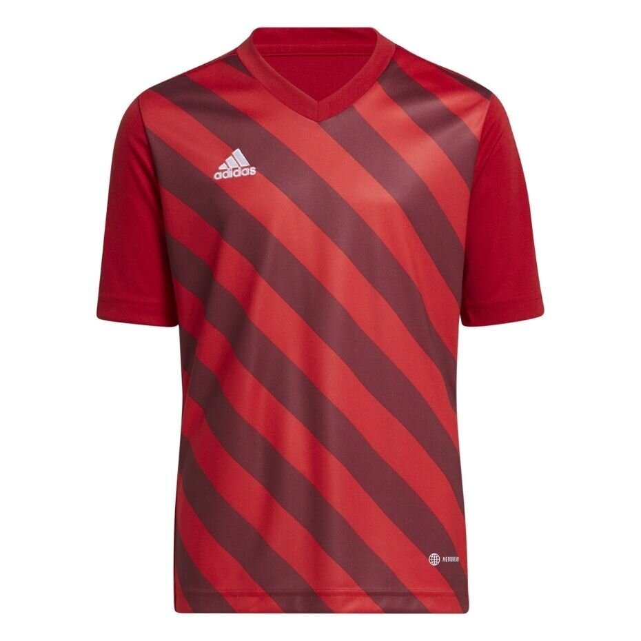 Laste T-särk Adidas Entrada 22 Graphic Jersey H58983, punane hind ja info | Jalgpalli varustus ja riided | kaup24.ee