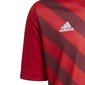 Laste T-särk Adidas Entrada 22 Graphic Jersey H58983, punane цена и информация | Jalgpalli varustus ja riided | kaup24.ee