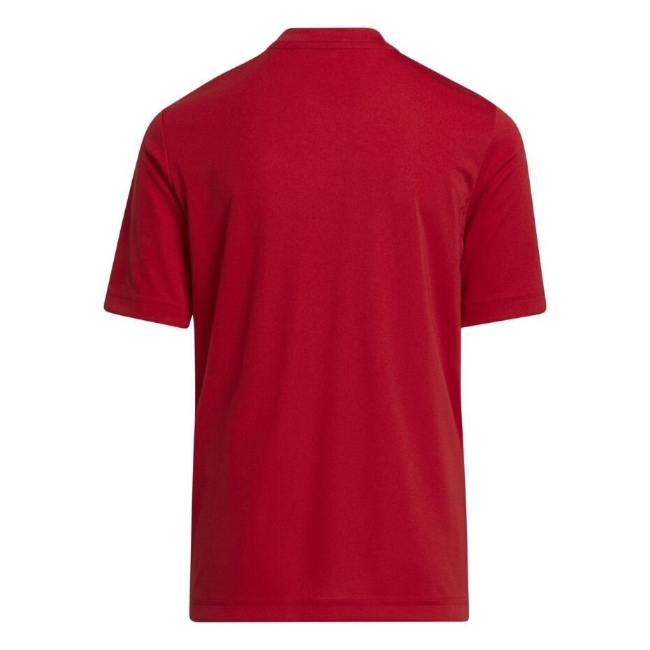Laste T-särk Adidas Entrada 22 Graphic Jersey H58983, punane hind ja info | Jalgpalli varustus ja riided | kaup24.ee