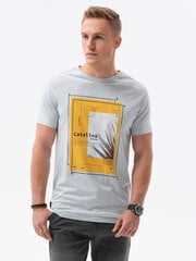 Мужская футболка S1434 цена и информация | Ombre Мужская одежда | kaup24.ee