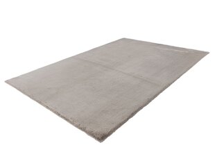 Vaip Emotion Taupe, 120 x 170 cm hind ja info | Vaibad | kaup24.ee