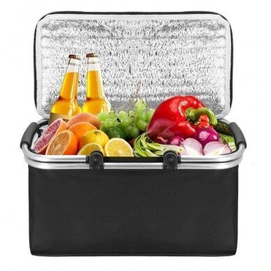 Termokott PICNIC THERMO BAG 47x28x40cm цена и информация | Külmakastid, külmakotid, külmaelemendid | kaup24.ee