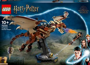 76406 LEGO® Harry Potter Hungarian Horntail Dragon konstruktor цена и информация | Конструкторы и кубики | kaup24.ee