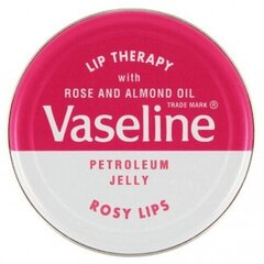 Huulepalsam Lip Therapy Vasenol (20 g) hind ja info | Huulepulgad, -läiked, -palsamid, vaseliin | kaup24.ee