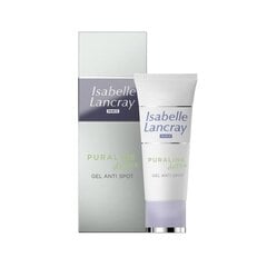 Крем против акне Isabelle Lancray Puraline Detox Anti-Spot (15 мл) цена и информация | Кремы для лица | kaup24.ee