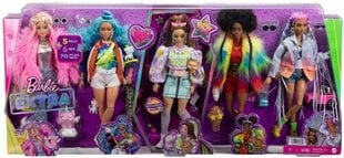Mattel - Barbie Extra 5 Doll Set цена и информация | Игрушки для девочек | kaup24.ee