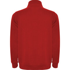 Мужской свитер Aneto красный цена и информация | свитер e193 - черный | kaup24.ee