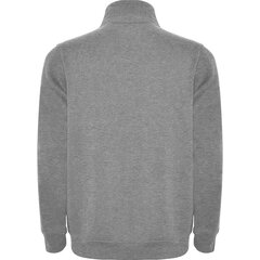 Мужской свитер Aneto серый цена и информация | Мужские свитера | kaup24.ee