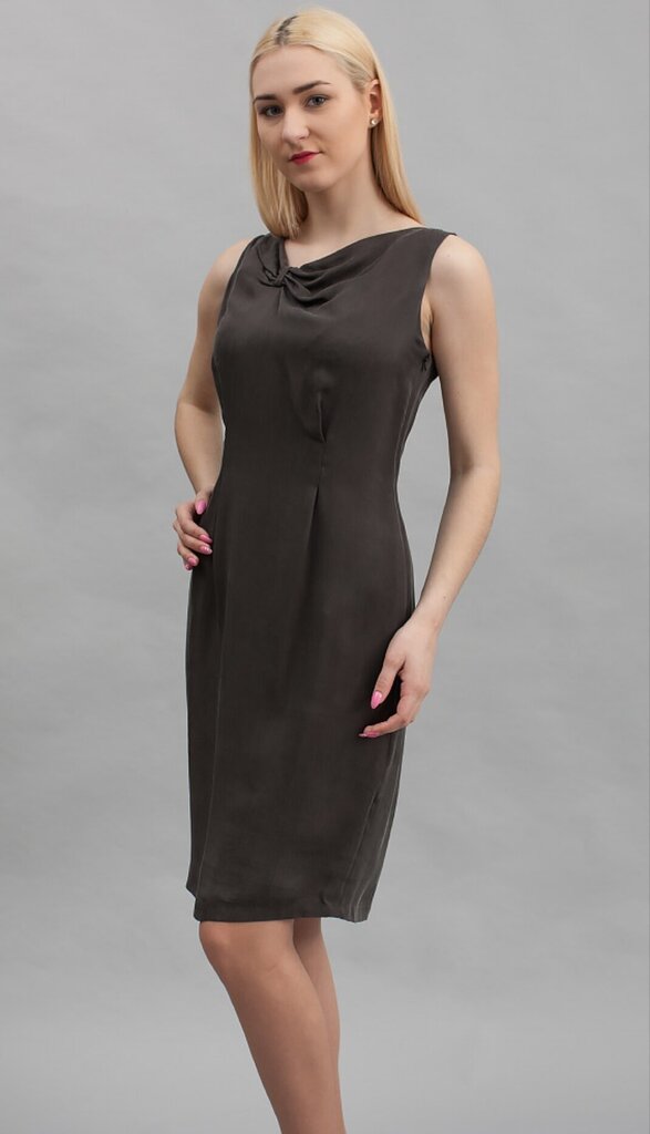 Naiste kleit, siidist hind ja info | Kleidid | kaup24.ee
