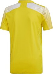 Meeste T-särk adidas Regista 20 Jersey kollane FI4556 hind ja info | Jalgpalli varustus ja riided | kaup24.ee