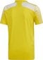 Meeste T-särk adidas Regista 20 Jersey kollane FI4556 hind ja info | Jalgpalli varustus ja riided | kaup24.ee