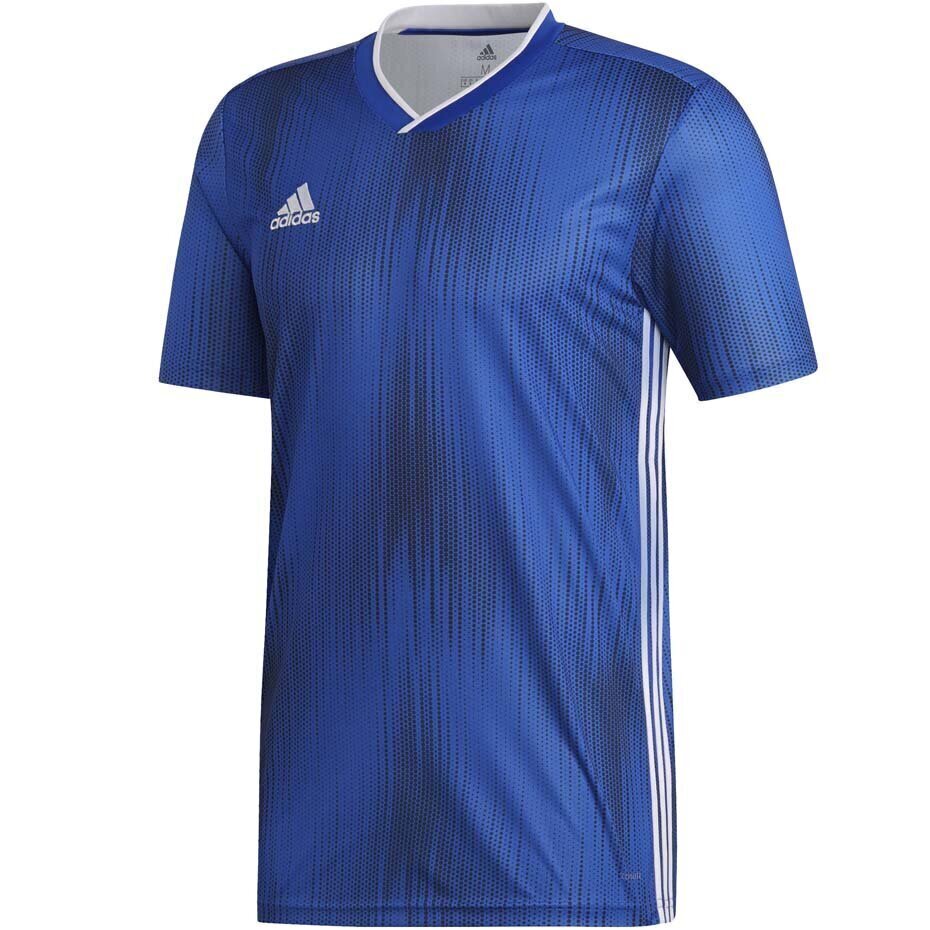 Laste T-särk adidas Tiro 19 Jersey JUNIOR sinine DP3532/DP3179 hind ja info | Jalgpalli varustus ja riided | kaup24.ee