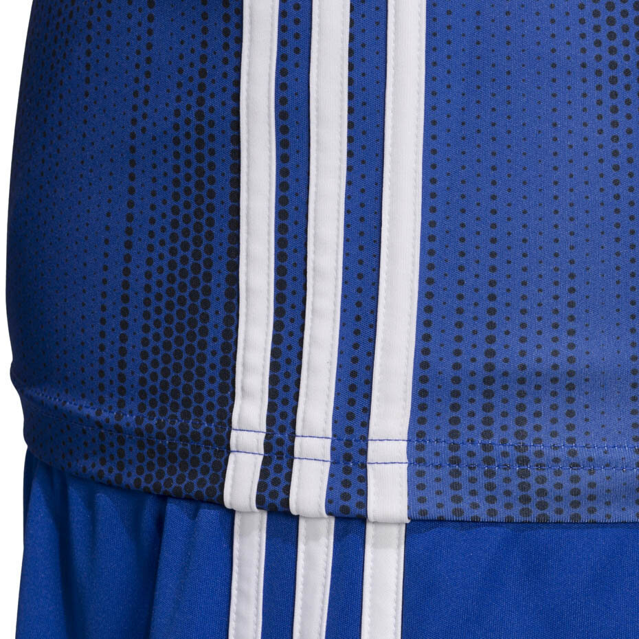 Laste T-särk adidas Tiro 19 Jersey JUNIOR sinine DP3532/DP3179 hind ja info | Jalgpalli varustus ja riided | kaup24.ee