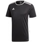 Laste T-särk adidas Entrada 18 Jersey JUNIOR must CF1035/CF1041 hind ja info | Jalgpalli varustus ja riided | kaup24.ee