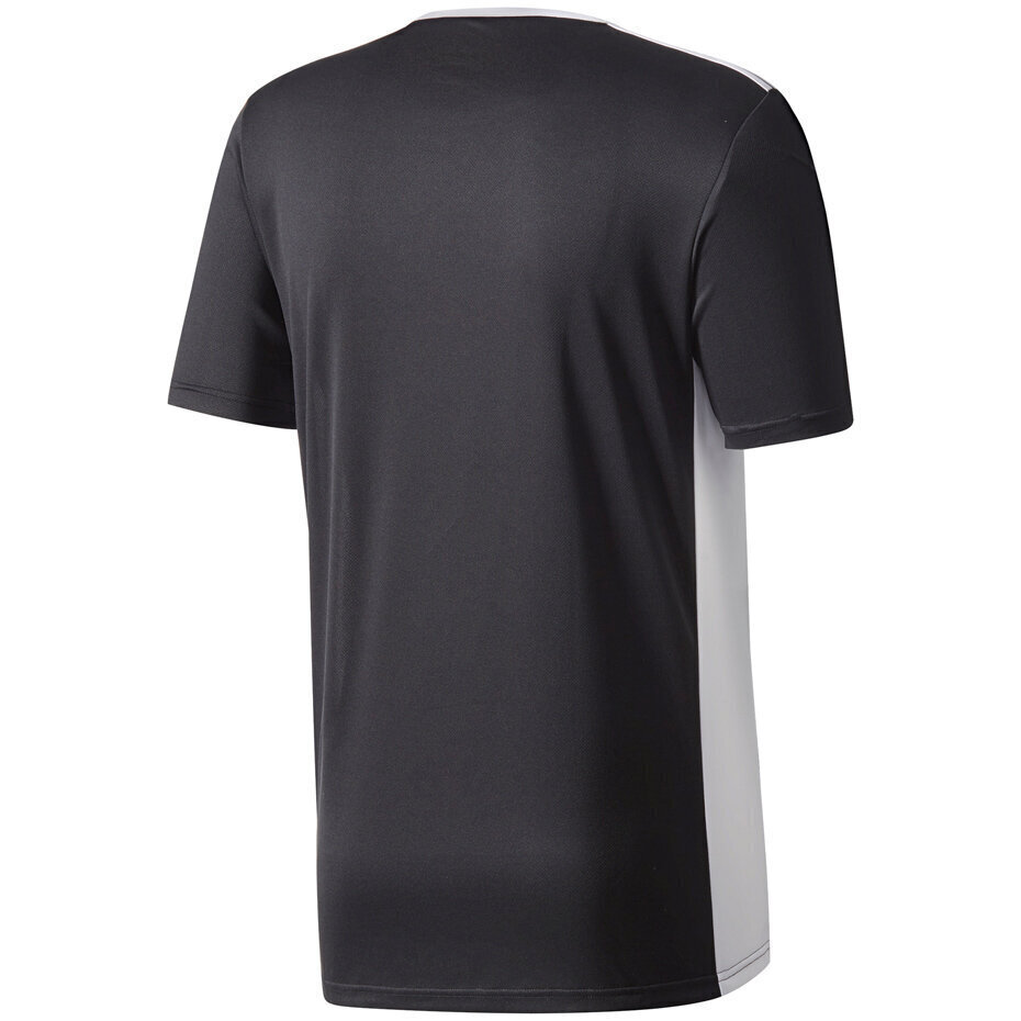 Laste T-särk adidas Entrada 18 Jersey JUNIOR must CF1035/CF1041 цена и информация | Jalgpalli varustus ja riided | kaup24.ee