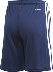 Шорты Adidas Squad 21 Short Navy GN5764 цена и информация | Poiste lühikesed püksid | kaup24.ee