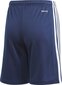 Adidas Lühikesed Püksid Squad 21 Short Navy GN5764 цена и информация | Poiste lühikesed püksid | kaup24.ee