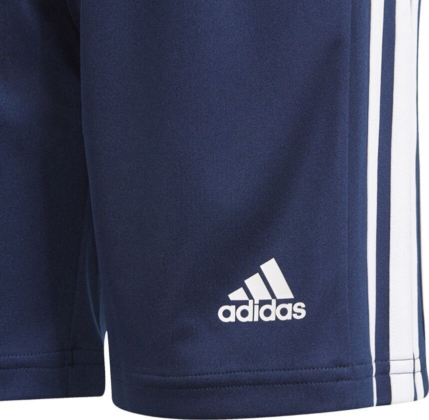 Adidas Lühikesed Püksid Squad 21 Short Navy GN5764 цена и информация | Poiste lühikesed püksid | kaup24.ee