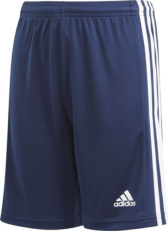 Adidas Lühikesed Püksid Squad 21 Short Navy GN5764 цена и информация | Poiste lühikesed püksid | kaup24.ee