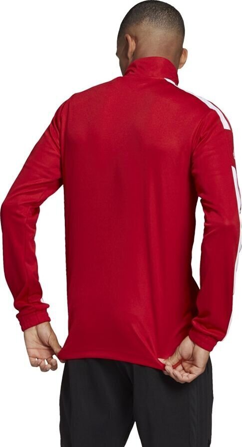 Meeste dressipluus adidas Squadra 21 punane GP6464 hind ja info | Jalgpalli varustus ja riided | kaup24.ee