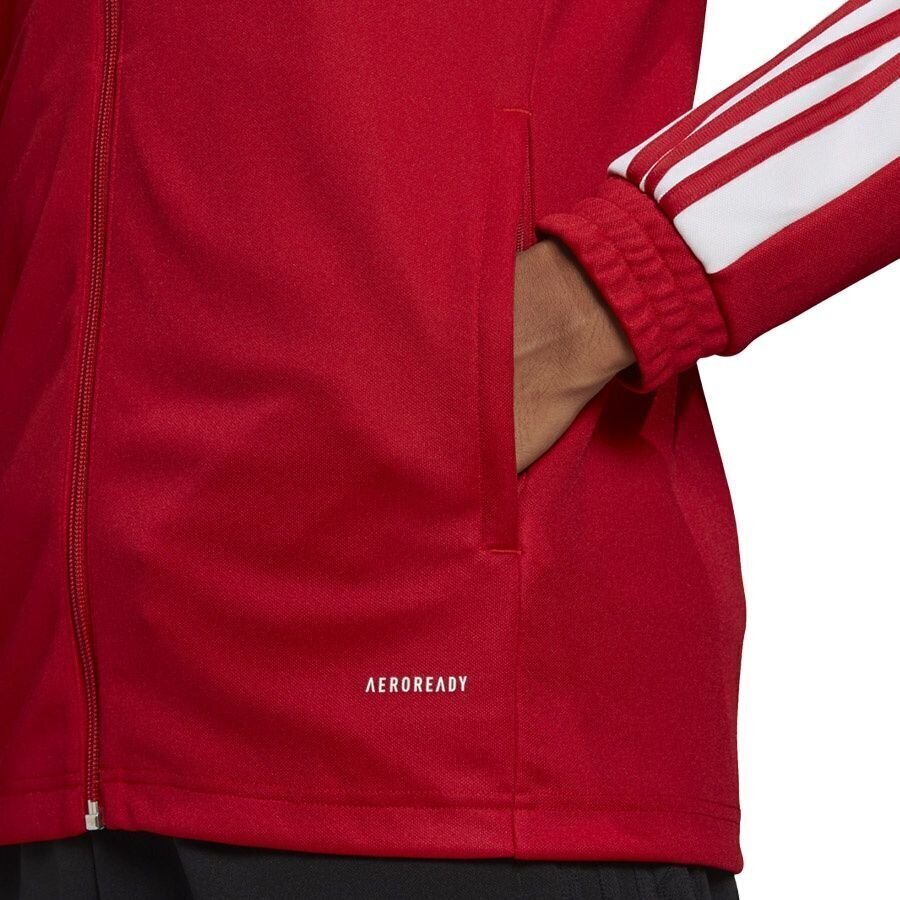 Meeste dressipluus adidas Squadra 21 punane GP6464 цена и информация | Jalgpalli varustus ja riided | kaup24.ee