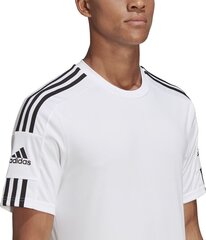 Meeste T-särk Adidas Squadra 21 GN5726, valge hind ja info | Jalgpalli varustus ja riided | kaup24.ee