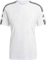 Meeste T-särk Adidas Squadra 21 GN5726, valge hind ja info | Jalgpalli varustus ja riided | kaup24.ee