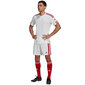 Meeste lühikesed püksid Adidas Squadra 21 GN5770, valge/punane цена и информация | Jalgpalli varustus ja riided | kaup24.ee