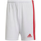 Meeste lühikesed püksid Adidas Squadra 21 GN5770, valge/punane hind ja info | Jalgpalli varustus ja riided | kaup24.ee