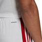 Meeste lühikesed püksid Adidas Squadra 21 GN5770, valge/punane hind ja info | Jalgpalli varustus ja riided | kaup24.ee